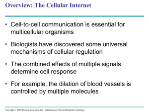 G protein-coupled receptor - Bryn Mawr School Faculty Web Pages