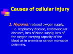 Tissue and Cellular Injury