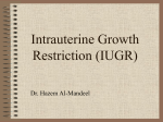 Intrauterine Growth Restriction (IUGR)