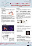 Neuronal Barrier Modulation Modulating the Blood-Brain &amp; inner Blood Retinal Barrier Basic overview