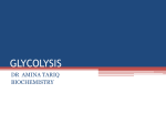 GLYCOLYSIS