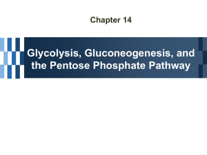 Glycolysi