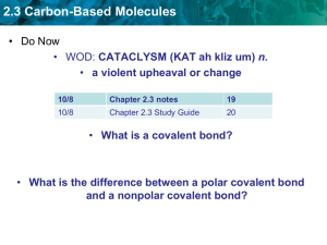 2.3 Carbon-Based Molecules