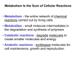 Principles of BIOCHEMISTRY - Illinois State University