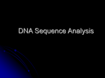 DNA Sequence Analysis