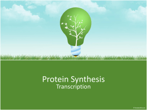 Protein Synthesis