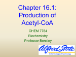 The Citric Acid Cycle - Alfred State College