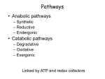 Glycolysis - Centre College