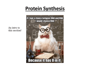 DNA and RNA