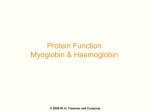 Lehninger Principles of Biochemistry 5/e