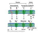 Cell and Molecular Biology 5/e