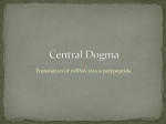 Central Dogma