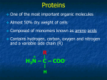 Atoms, Molecules & Life