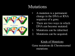 Mutations - Broken Arrow Public Schools