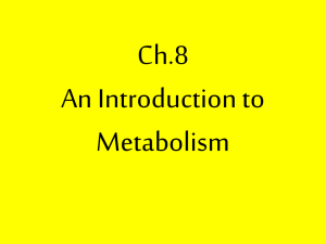 An Introduction to Metabolism