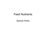 Feed Nutrients