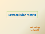 Cell Chemistry - University of Ottawa