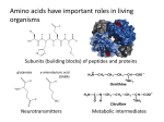 Amino acids have many roles in living organisms