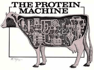 PROTEINS - ssag.sk