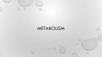 Metabolism