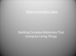 macromolecules-S04Biology