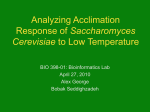 Analyzing Acclimation Response of