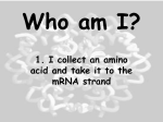 Who am I?