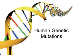 Genetic Mutations