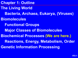 Biochemical Reactions