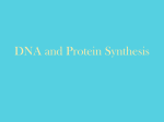 DNA and Protein Synthesis