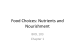 Food Choices: Nutrients and Nourishment