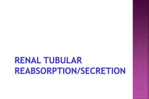 Renal tubular transp..