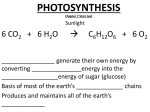 PHOTOSYNTHESIS