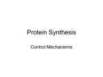 Protein Synthesis