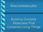 Macromolecule - Cloudfront.net