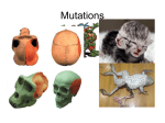 MUTATIONS