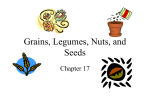 Grains, Legumes, Nuts, and Seeds