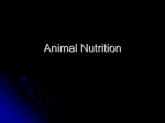 Animal Nutrition - Warren County Schools