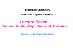 Peptide Bonds