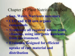 Hormonal Control of Flowering