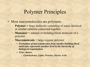 Polymer Principles