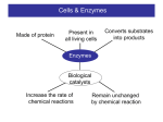 Enzymes ppt