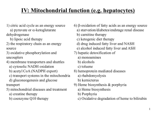 The b-oxidation pathway as an energy source