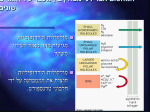 4 - מעבר חומרים דרך הממברנה