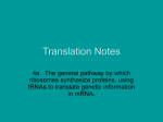 Translation Notes