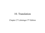 10. Translation