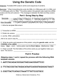 Genetic Code exercise