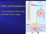 Fatty acid breakdown