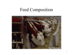 Basics of Feed Composition