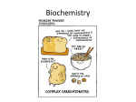 Biochemistry Powerpoint